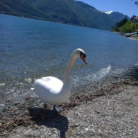 Venanzio! * Pianello Del Lario