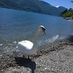 Venanzio! * Pianello Del Lario