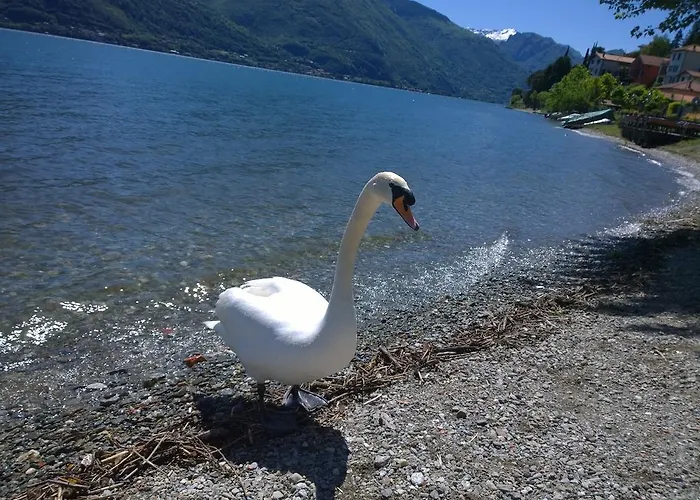 Venanzio! * Pianello Del Lario